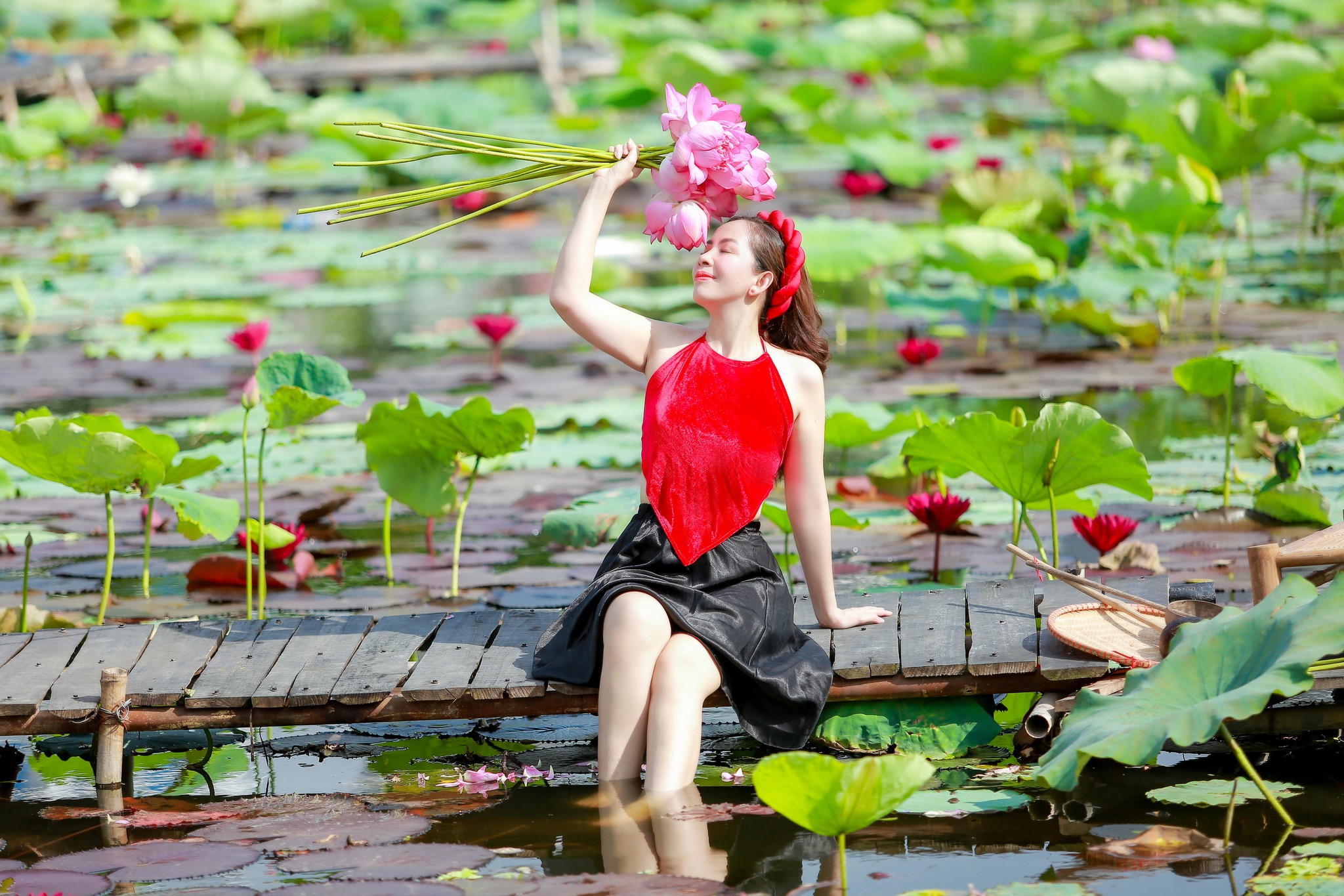 Avatar của Trăng Võ Lê